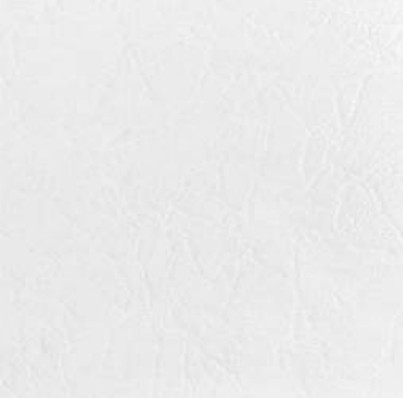 Chañi Blanco